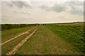 Bridleway on Mealand Hill