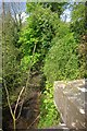 Disused railway from the Cromwell Lane bridge