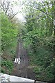 Disused railway from the Waste Lane bridge