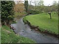 River Tern upstream of the A529 bridge