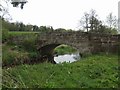 Bridge over River Tern