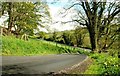 Ednego Avenue near Dromore (2)