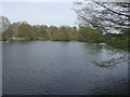 Mill pool at Bearstone Mill