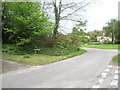 View  from The Old Farm back to the centre of East Harting