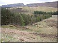 NC1602 : Forestry in Strath Canaird by Roger McLachlan