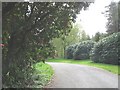 The main drive towards the front of Plas Glynllifon house