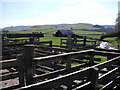 Sheep pens at Hawkshaw