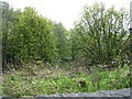 Line of Dismantled Railway - Bradford Road