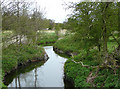 Saredon Brook near Four Crosses, Staffordshire