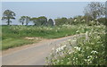 Springtime, quiet no through road at Coddenham Green