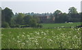 View across the fields towards Coddenham House