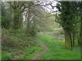 Footpath to Poles Coppice