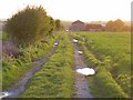 Farm track, South Stoke