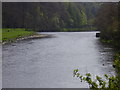 The River Tweed