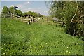 The Severn Way at Weir Green