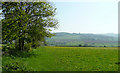 View east from Whiteshill