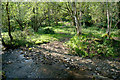 Ford nr Higher Dean Wood