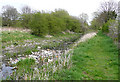 Hatherton Canal  near Wedges Mills, Staffordshire