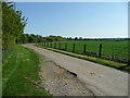 SU4539 : Road to Sutton Manor Farm by Jonathan Billinger