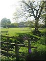 Over The Stream at Beyton Green