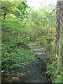 The River Clwyd at Pandy