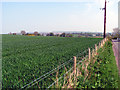 Fields off the Ballycoan Road