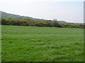 Tircreven Townland