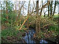 Gudgeon Hole Lane Stream