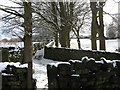 Trees and walled footpath near Raikes House Farm