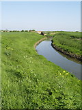 TA1828 : Burstwick Drain just west of the A1033 by Andy Beecroft