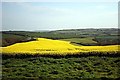 Farmland near Lanhoose