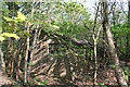 Derelict Nissen hut in Twemlows Big Wood: another view