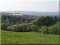 Countryside near Endsleigh