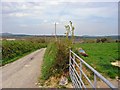 Lane to Holloway Fawr, Bletherston