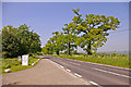 Ferny Hill, Hadley Wood, Hertfordshire