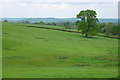 Farmland at Woolcombe Farm