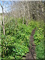 Path from Longstone Heritage Centre to Holy Vale