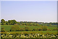 Farmland, Stagg Hill, Hertfordshire