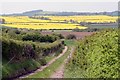 Down a Farm  Lane