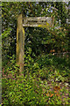 Pilgrims Way signpost
