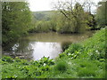 Lovely pond just past East Harting