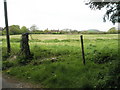 View back to East Harting from road to Turkey Island