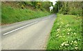 The Glenshesk Road near Ballycastle (2)