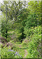 Bridleway, Kingswood, Staffordshire