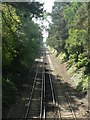 Talbot Woods: railway line