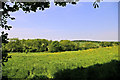 Farmland, Valley Fields Crescent, Enfield