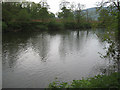 River Wye from the Wye Valley Walk