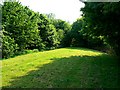 Linear park, near Tattershall, Toothill, Swindon