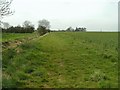 Looking back beside the stream