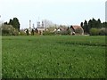 Houses across the field, South Killingholme